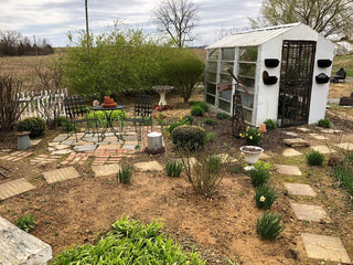 A New Beginning for the Garden