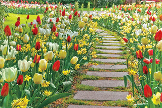 Flower Bulbs Landscapers Can Use for Mass Plantings