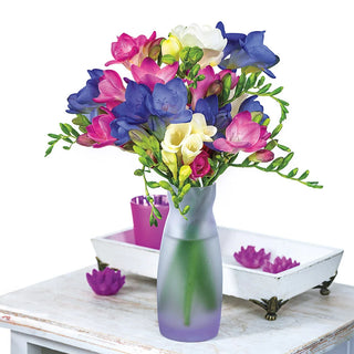 Freesia Mix