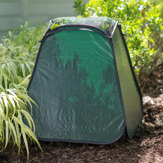 Pop-Up Plant Protector