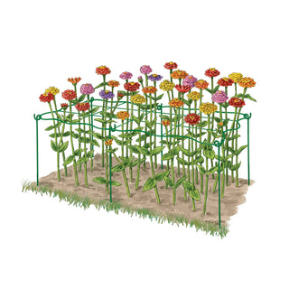 Cut Flower Grid Support
