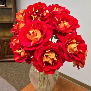 Floribunda Rose Ketchup & Mustard