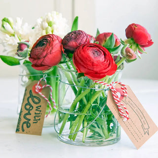 Aviv Ranunculus Red