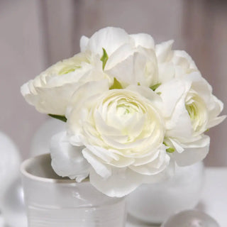 Aviv Ranunculus White