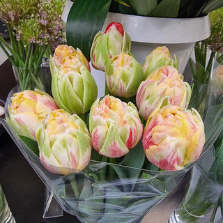 Double Peony Tulip Sprinkle Dip