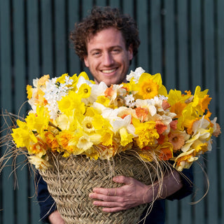 Cutflower Daffodil Mix