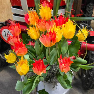 Hearts a'Fire Tulip Duet