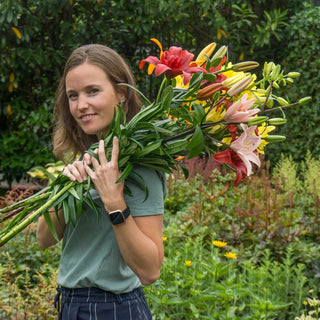 Cutflower Lily Mix