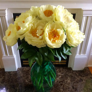 Peony Lemon Chiffon