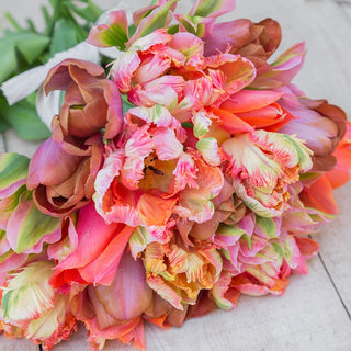 Sunrise in Paradise Tulip Mix