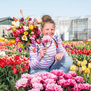 Cutflower Tulip Mix