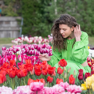 Cutflower Tulip Mix