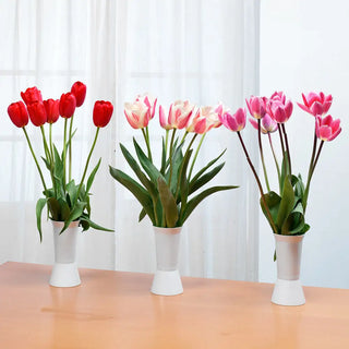 Spring Tulip Tracable Forever Spring Tulip Mix - Fall Planting | K. van Bourgondien