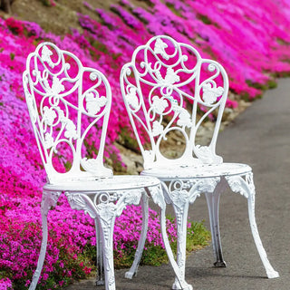 Creeping Phlox Mixture