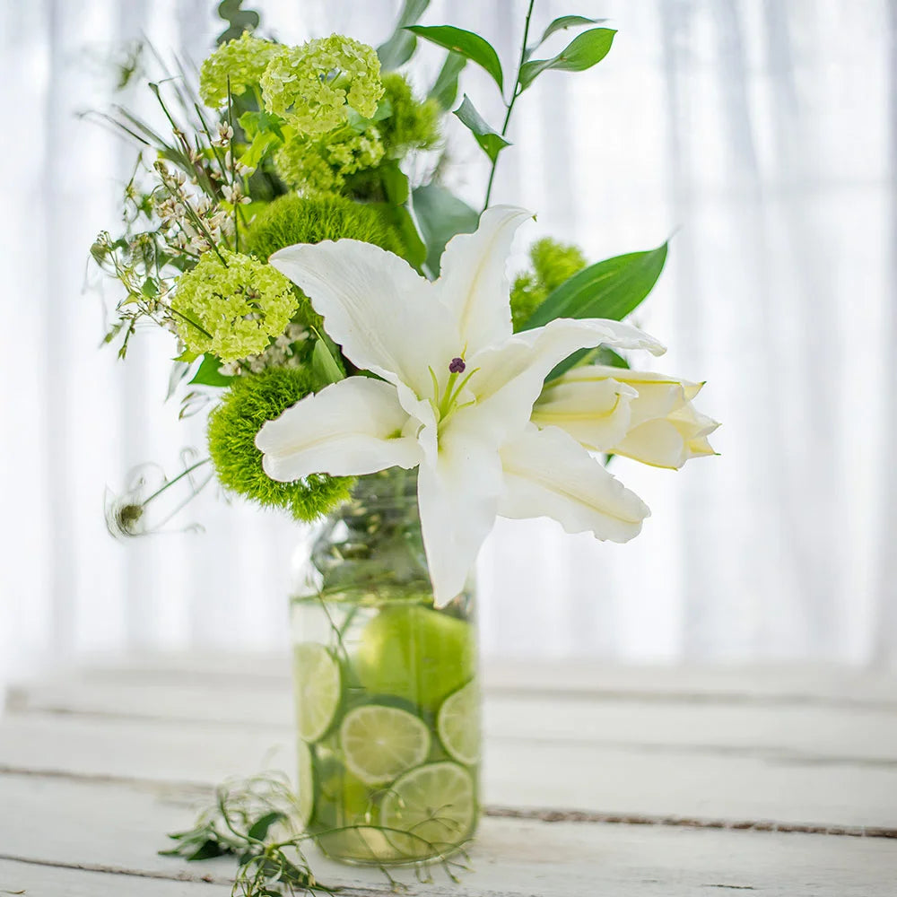 casa lily flower Oriental Lily Casa Blanca