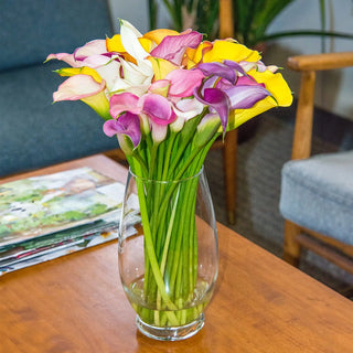 Hybrid Calla Lilies Mix