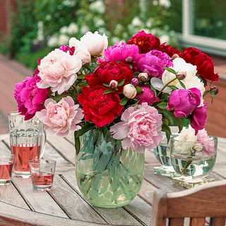 Cut Flowers