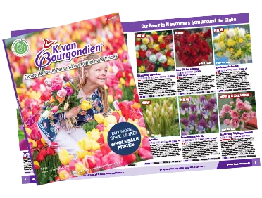 Digital Catalog