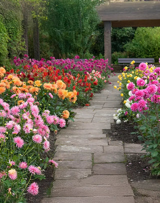 Spring-Planted Bulbs