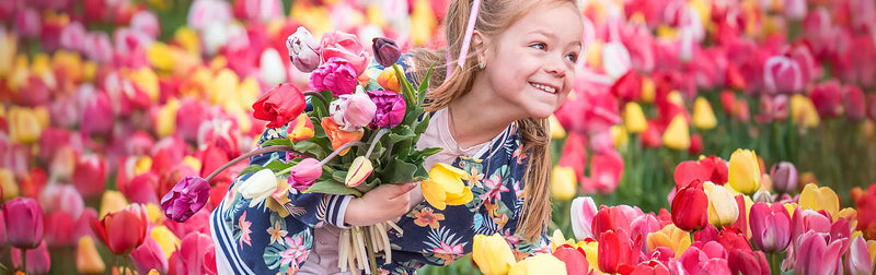 Tulips
