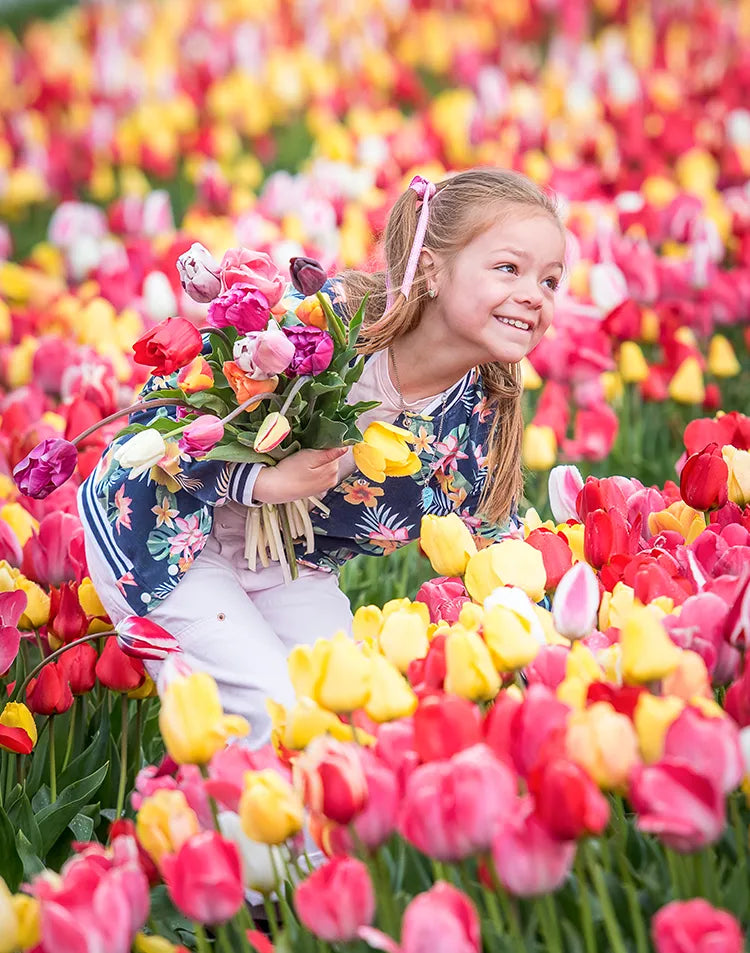 Tulips