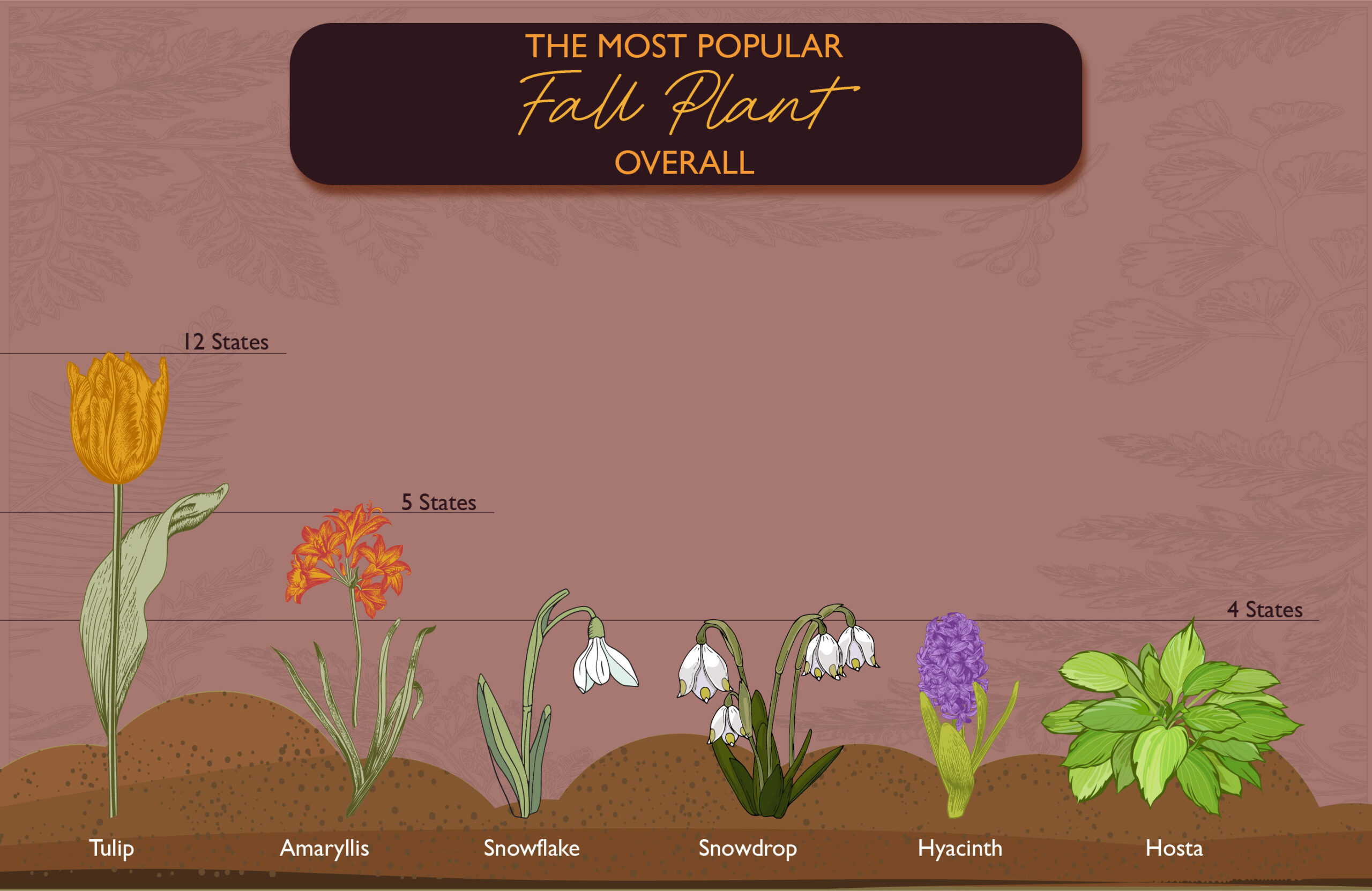  A graphic of the most popular fall plant overall