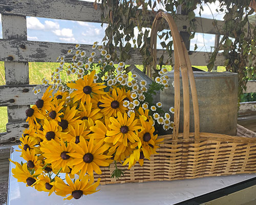 Opening a Farm/Flower Stand blog post 1